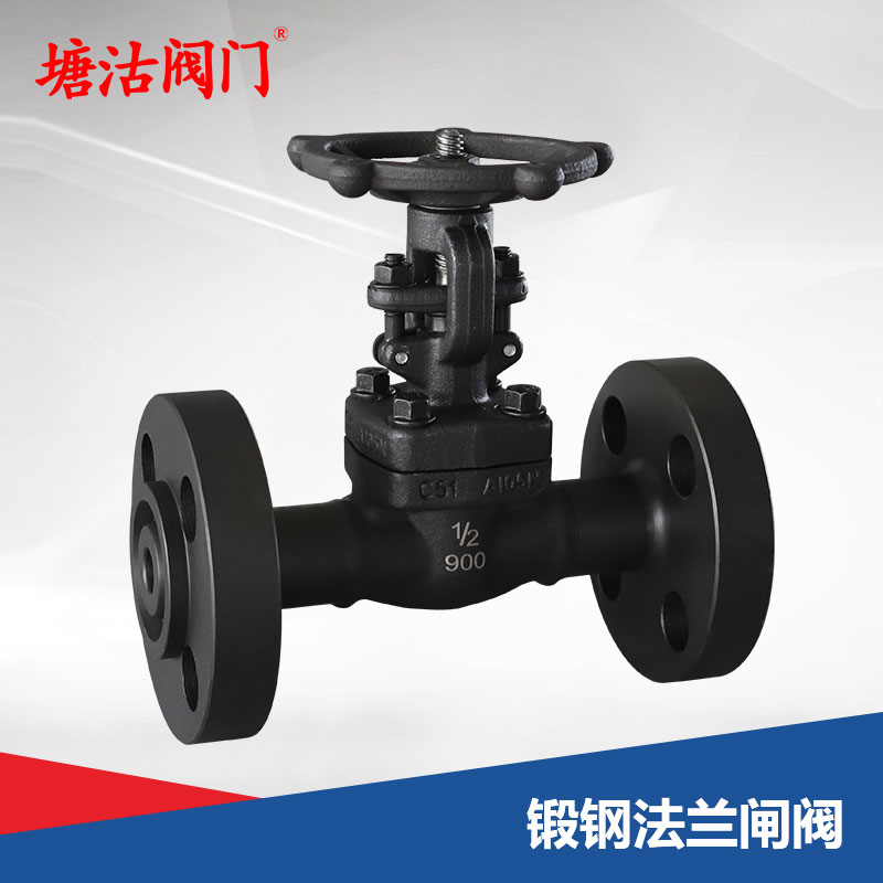 鍛鋼法蘭閘閥