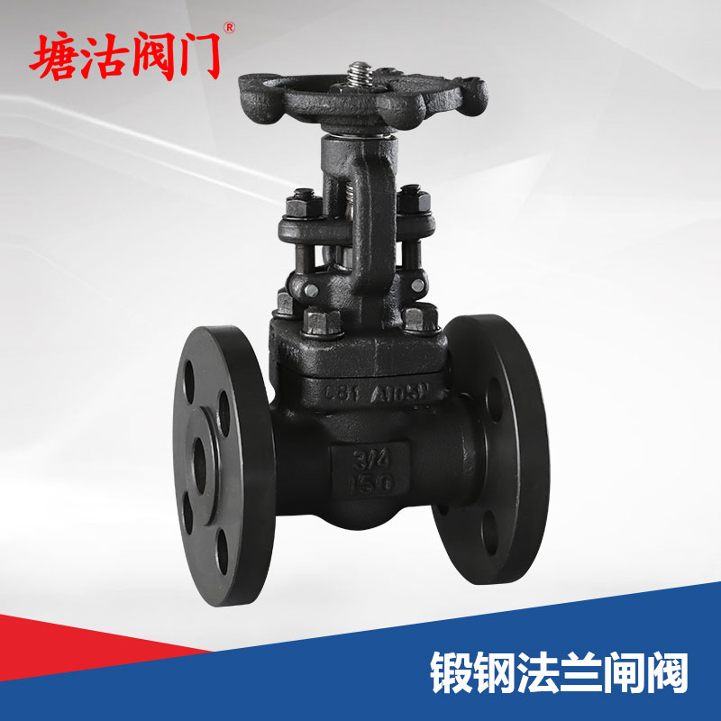 鍛鋼法蘭閘閥