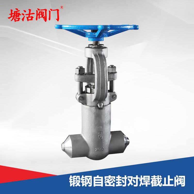 鍛鋼自密封對(duì)焊截止閥