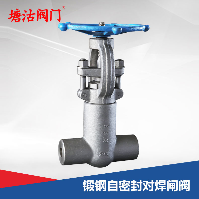 鍛鋼自密封對(duì)焊閘閥