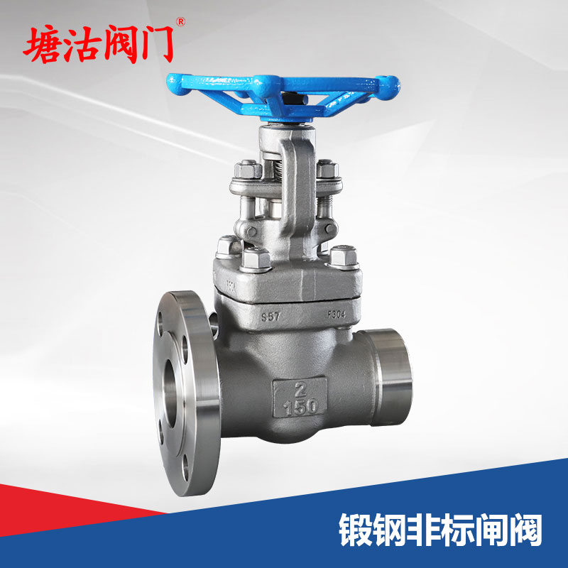 鍛鋼非標(biāo)閘閥
