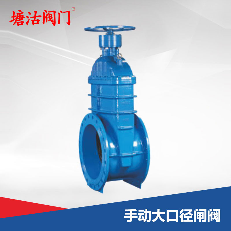 手動大口徑閘閥